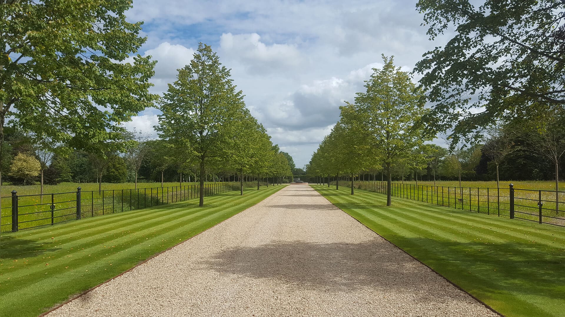 Residential garden with mature trees