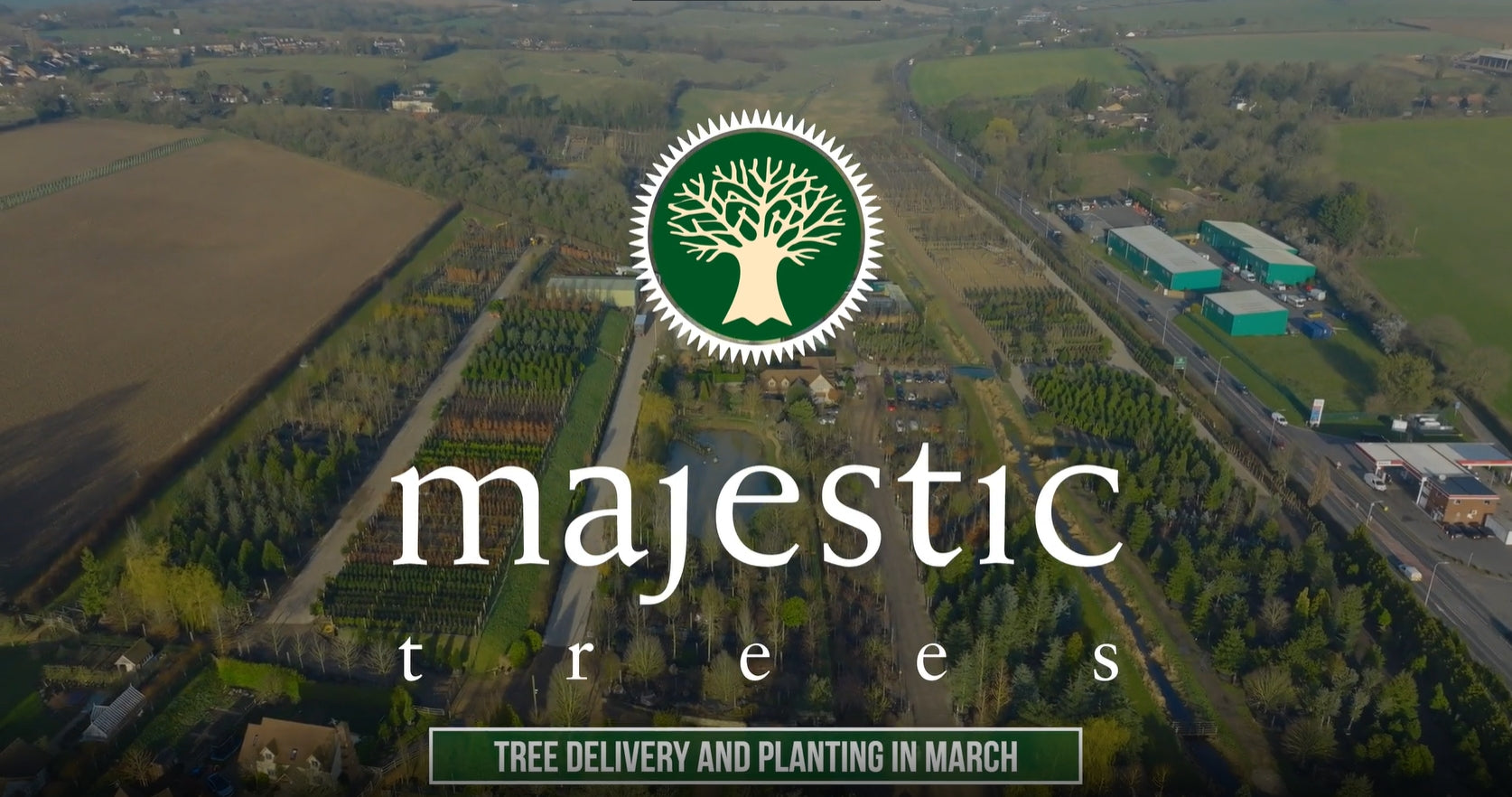 Planning For Your Tree's Arrival | Majestic Trees
